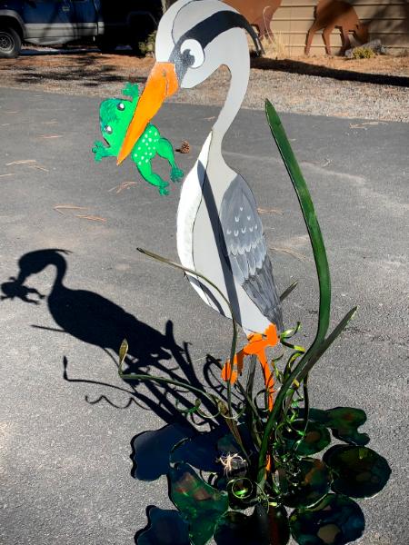 Painted Heron and Cattails