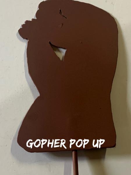 Gopher Pop Up