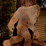 Rusting Bigfoot