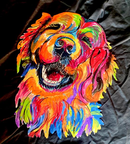 Colorful Dog