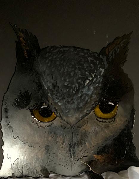 Owl full faced 