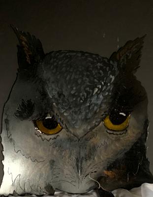 Owl full faced 