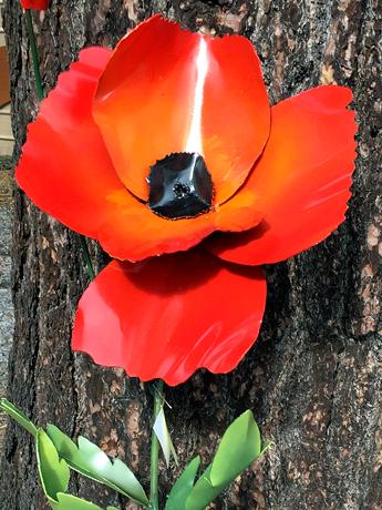 Red Poppy