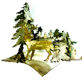 Elk Scene