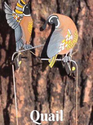 Painted Quail Pair