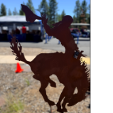 Bucking Bronc