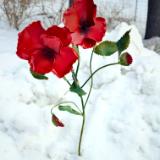 POPPIES 2025