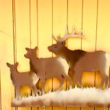 ELK FAMILY