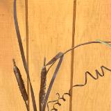 RUSTIC CATTAIL