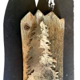 Tree on Wood
