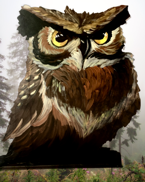 Fierce Owl