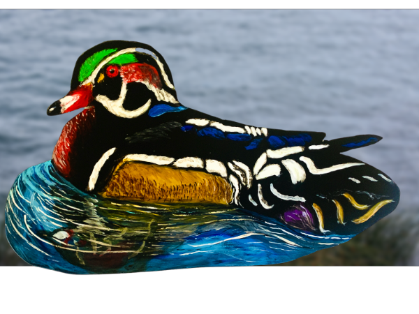 Wood Duck