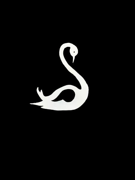 Swan