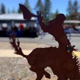 Bucking Bronc