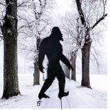 Bigfoot in Snow