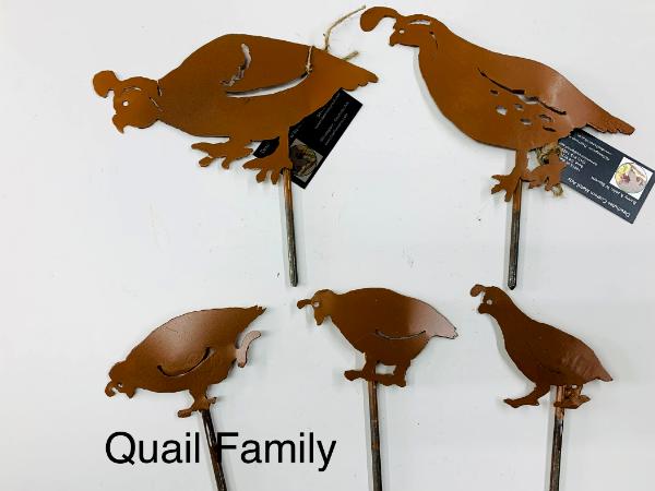 Quail Family