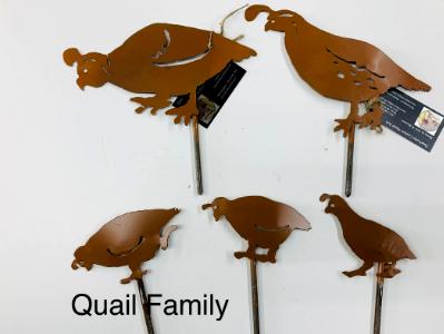 Quail Family