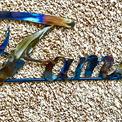 Word Sign (Two Views)