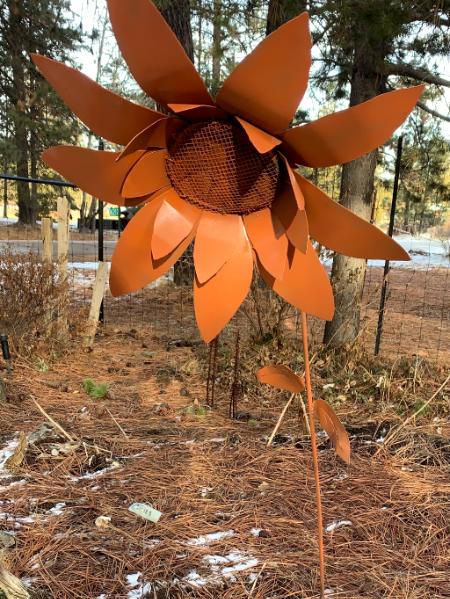 Large Sunflower