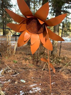 Large Sunflower