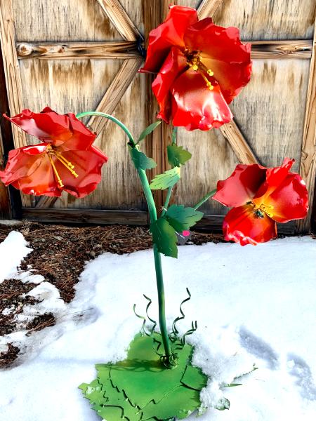 Signature Poppy Shrub